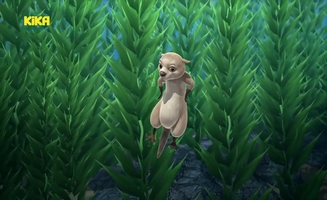Tauch Timmy Tauch E11
