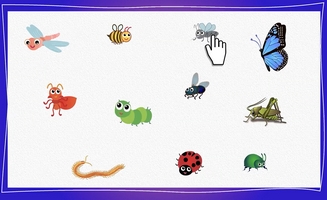 Animals And Insects