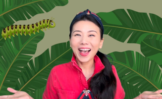Baby And Toddler Learning Chinese - Metamorphosis