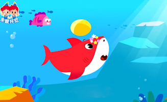 Baby Shark Is Singing