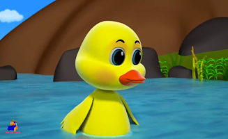 Five Little Ducks