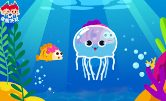 Jellyfish Song