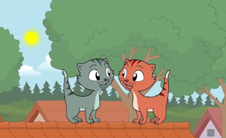 Leise Leise Wie Die Katzchen Schleichen