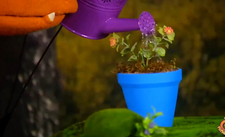 Las Plantas Perciben El Mundo Lluvia De Peces