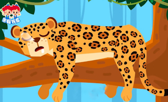 Animals Abc