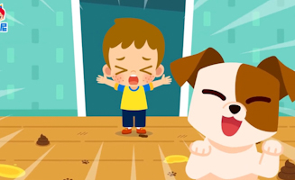 Dog Toilet Training
