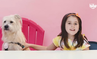 Dogs Try Weird Dog Food