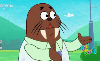 14