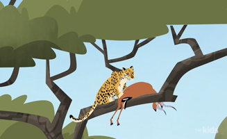 Wild Kratts S07E18 Stealthazar the Leopard
