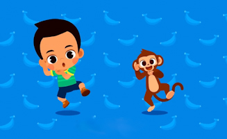 Lets Go To The Zoo