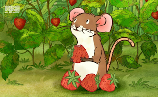 Die Erdbeeren