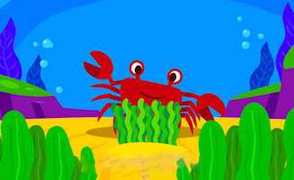 Friends Under The Sea