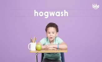 Wordplay Kids Guess What-Hogwash Means
