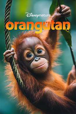 دانلود مستند Orangutan 2026