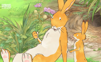 Ein Tag Als Grober Hase