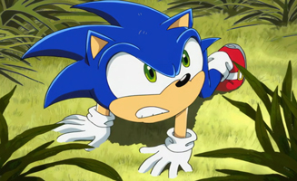 Sonic X S01E18 Huge Shoot-out on the Savanna