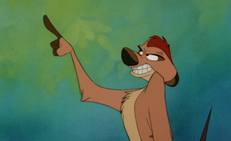 Timon and Pumbaa S01E03A Never Everglades
