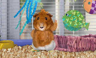Wonder Pets In The City S02E02