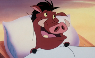 Timon and Pumbaa S01E04A How to Beat the High Costa Rica