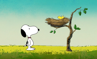 Camp Snoopy S02E08