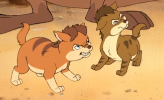 07
