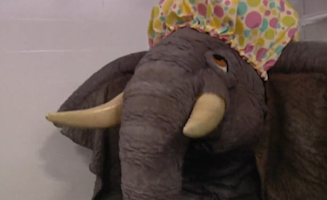 Sesame Street S38E25