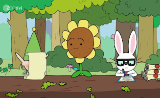 Herberts Hilfreiche Hute