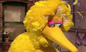 Sesame Street S38E14