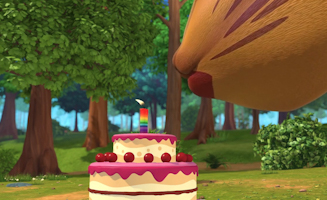 Make A Wish