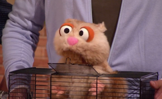 Sesame Street S41E24