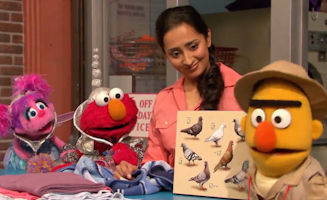 Sesame Street S41E09