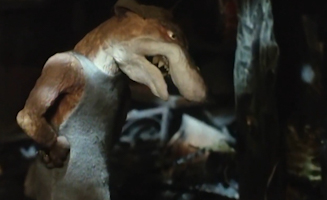 The Wind In The Willows S03E10