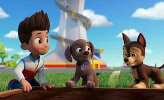 Paw Patrol S12E15E16 Pups Stop A Topiary Tal Pups Save A Hum Ball