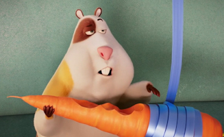 Coop Troop S01E04 Aerobic Albert