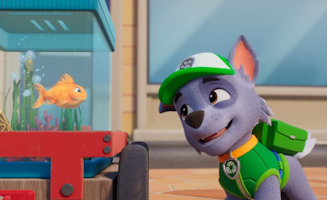 Paw Patrol S12E19E20 Pups Save A Goldfish - Pups Save A Flying Florist