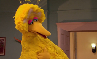 Sesame Street S41E05