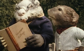 The Wind In The Willows S03E11