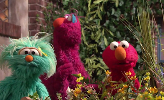 Sesame Street S41E14