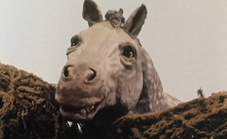 The Wind In The Willows S01E08
