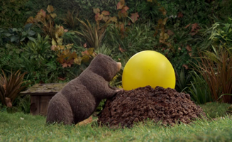 The Sound Collector S01E22 Rewilding
