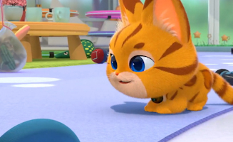 Mega Meow - Starwatch S01E37