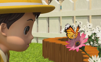 Tayo The Little Bus S06E16