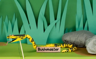 Weird But True S03e07