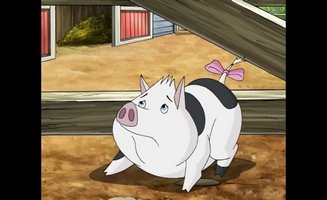Horseland S01e12