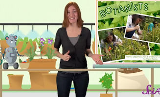 Whats The Difference Between Fruits And Vegetables