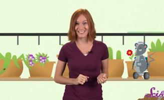 Worms Are Wonderful - Amazing Animals