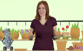 Make The Most Of Compost