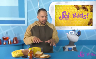 How Do Bees Make Honey - The Science Of Food