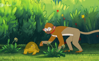Der Affe Ist Los