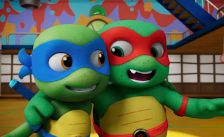 Teeny Mutant Ninja Turtles S01E09 Ninja Vs Ninja